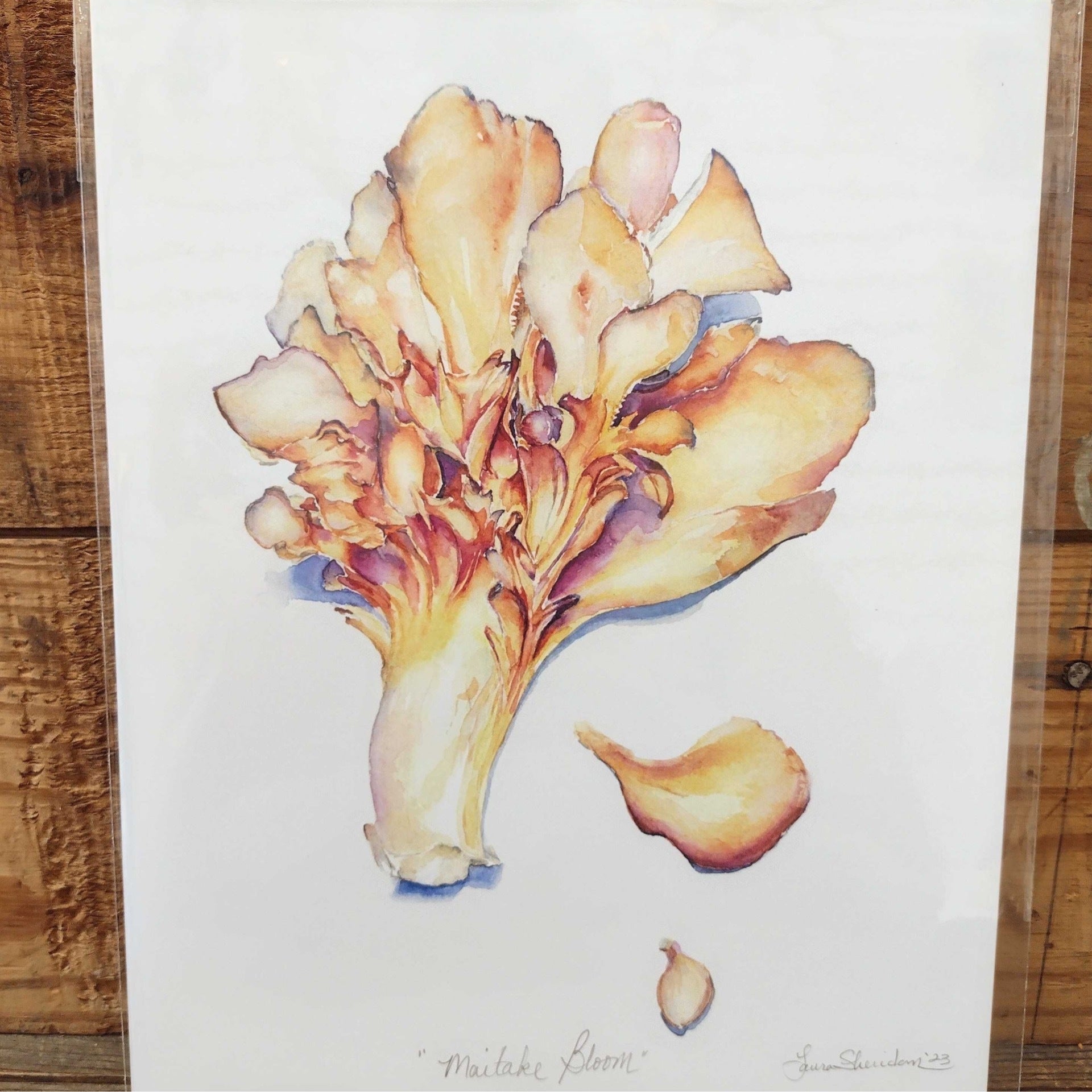 Maitake Bloom Laura Sheridan Owl and Rabbit Gallery